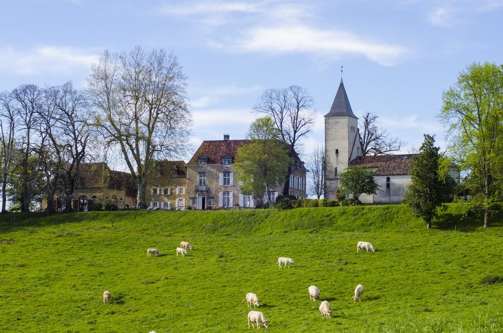 Chateau D'Оріон Екстер'єр фото